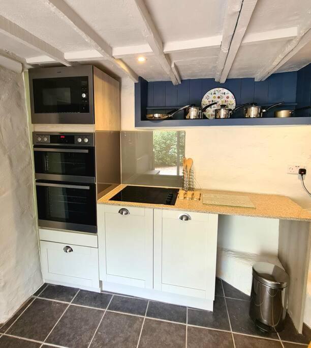 Mill Cottage Garden Annexe Newton Abbot Kültér fotó