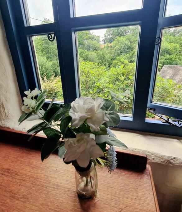 Mill Cottage Garden Annexe Newton Abbot Kültér fotó
