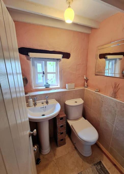 Mill Cottage Garden Annexe Newton Abbot Kültér fotó