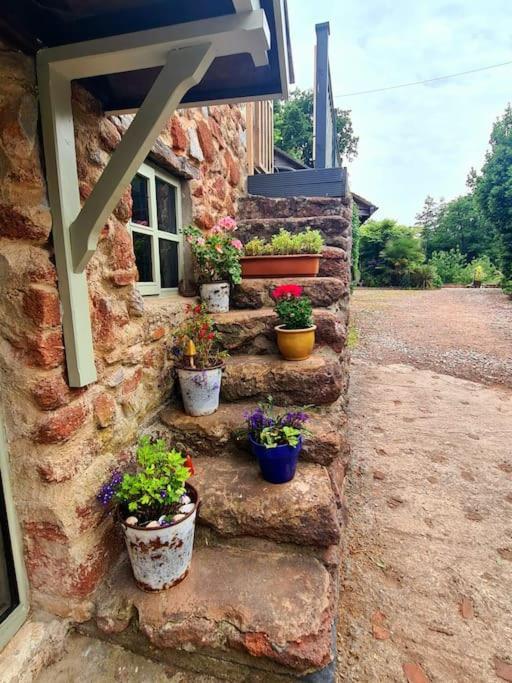 Mill Cottage Garden Annexe Newton Abbot Kültér fotó